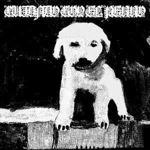 TIGRE ALBINO (feat. detodolosantos & BIN)