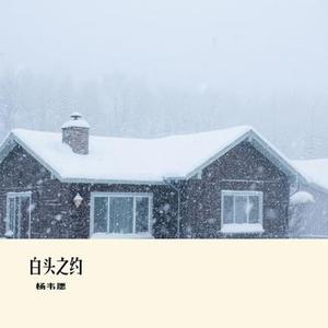 白头之约