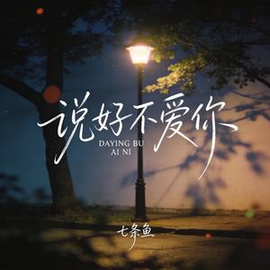 说好不爱你(因为我太傻)