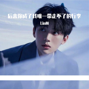 后来你成了我唯一带走不了的行李