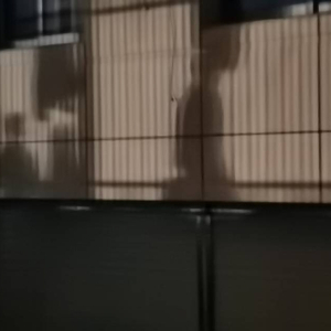 晨昏蒙影.wav