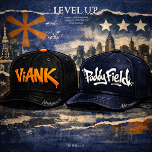 LEVEL UP (feat. ViANK & Paddy Field)