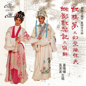 红楼梦之幻觉离恨天