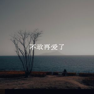 不敢再爱了