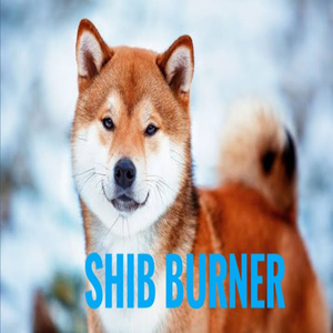 SHIB BURNER