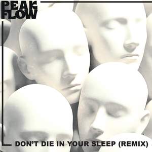 Don't Die In Your Sleep (Remix)