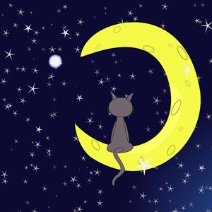 月亮上的猫