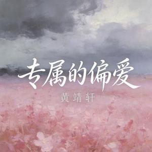 专属的偏爱