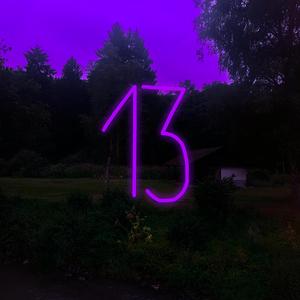 13 Ziffern