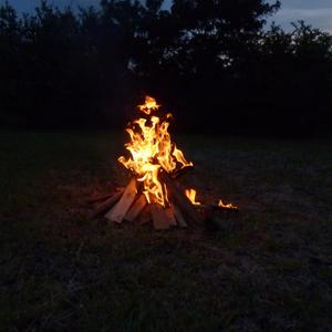 Senda ignota (feat. Viridiana)