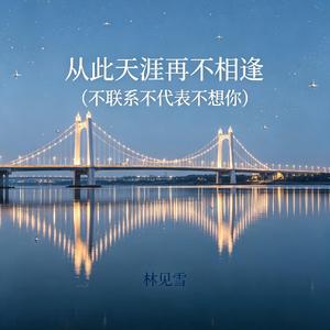 从此天涯再不相逢(不联系不代表不想你)