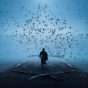 恋爱吗弟弟（我能嘤嘤嘤）