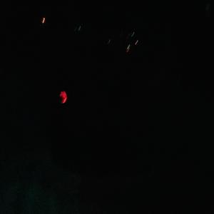 Peaches & Eggplants Freestyle