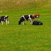 我的快乐到人间 伴奏