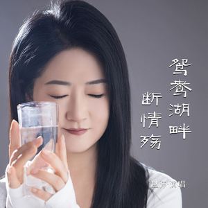 鸳鸯湖畔断情殇 (伴奏)