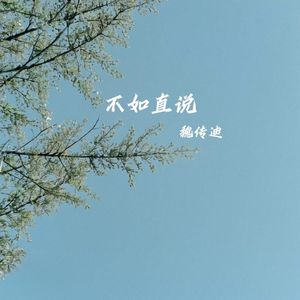 不如直说