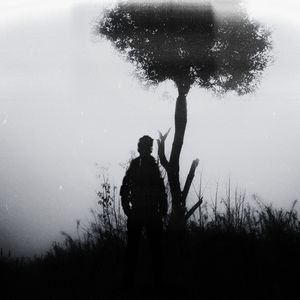 Whispers in the Groove