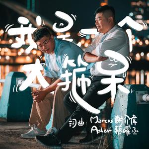 我是一个大箍呆