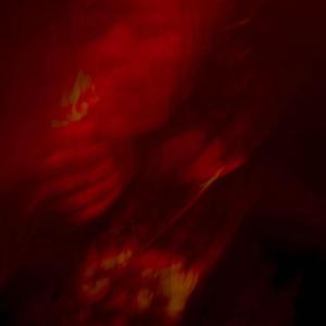 Vest On Me (feat. AMR)