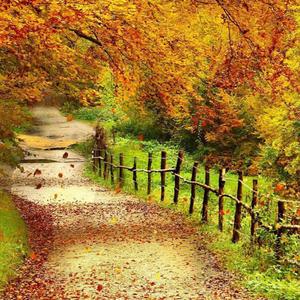 PhoneCalls 2027 Type Beat