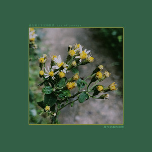 周六早晨的遐想（Original Version）