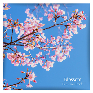 Blossom