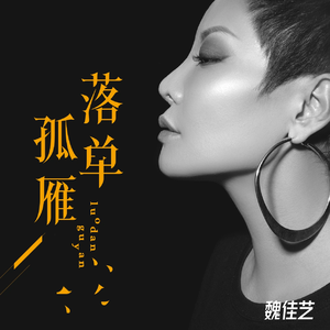落单孤雁