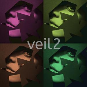 Veil 2 (Radio Edit)