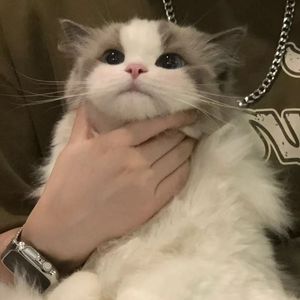 找问题的人（People Looking for problem）