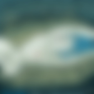 Between (The Space) Dreams