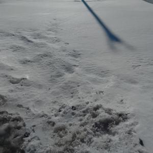 The Demo That No One Hears