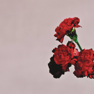 LOSING YOU