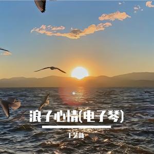 浪子的心情(电子琴)