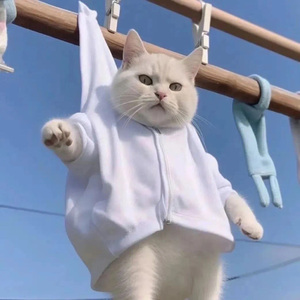 歌