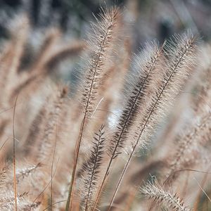 我们的故事只写一半