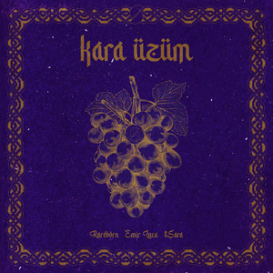 Kara Üzüm