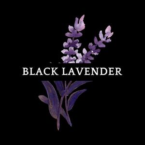 Black Lavender (Radio Edit)