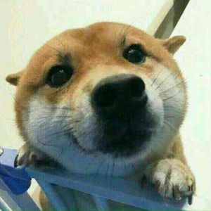 假想敌 (Instrumental)