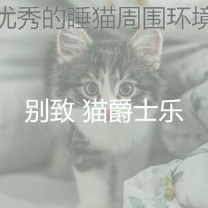 诗意的猫在家节奏