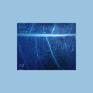 レントゲン(Retake)-Instrument
