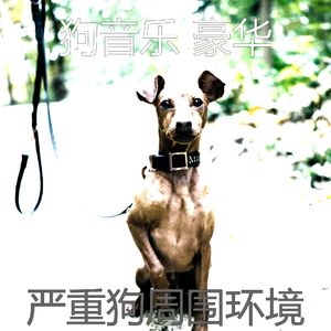 抚慰的小狗回忆