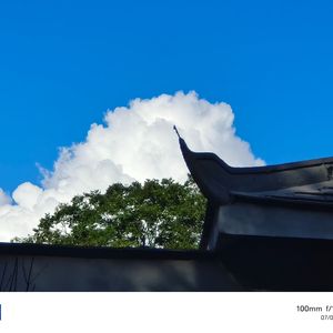 绝望中重生（邓龙龙 remix）