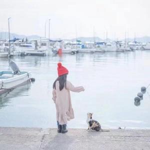 关于盛夏的光和影