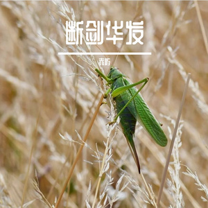 断剑华发