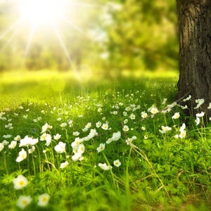 Dj Starbright (Live)