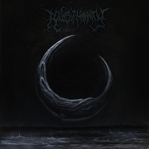 Taking The Shape Of Infinity