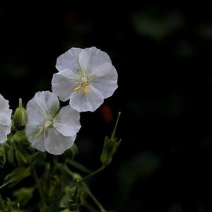 lil baby X type trap beat