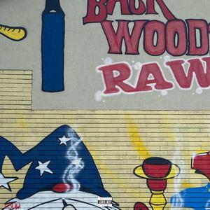 Can't Go Back Again (feat. Token)