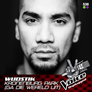 Kronenburg Park (Ga Die Wereld Uit) (From The Voice Unplugged @ 538)