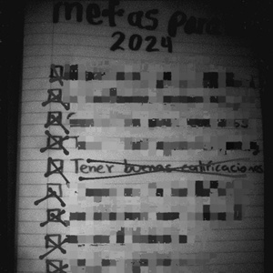 Duckling Doggie Calzoner